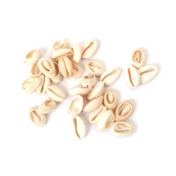 Морски раковини 10~12x15~17x6~7 мм -50 грама ~85 броя