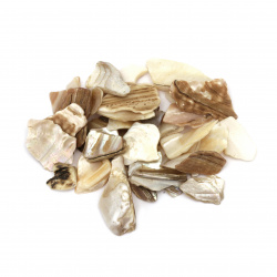 Pearl Sea Shells for Decoration,  20 ~ 50 mm ~ 100 grams