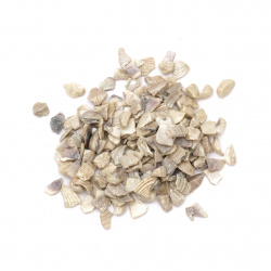 Natural Seashells Chips with a Pearl Effect, 2 ~ 4 mm, 330 ml ~ 400 grams