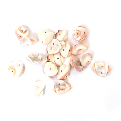 Scoici Marine (Midii) Chips 14~21x13~19x4~9 mm, Orificiu 1 mm - 50 grame ~30 bucăți