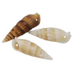 Stoc epuizat. Primeste notificare pe email cand produsul revine in stoc Coji de mare 47 ~ 50x15 ~ 16x14 ~ 15mm gaura 2mm 9 ~ 10 bucati ~ 50 grame