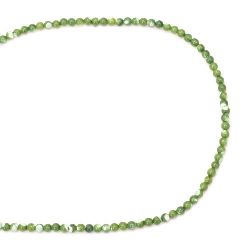 Not Available Online. You can also buy at EM ART stores and at +359 884 000 893 Natural Sea Shell Round Beads Strand, Dyed, Green 4 mm ~ 107 pieces