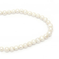 String Beads Natural Pearl 12 ~ 13mm Hole 1mm Class A Color Cream ~ 31pcs