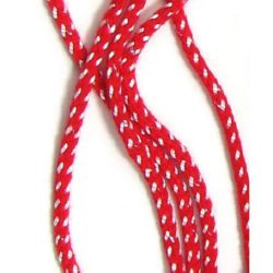 Round Cord with Silk (V 109 Pan), 5 mm - 30 meters