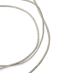 Jewellery leather cord 2 mm silver - 1 meter