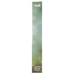Suporturi din carton de 3/19 cm colorate cu inscripție și descriere - 100 bucăți