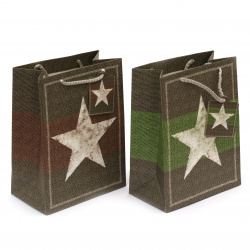 ASSORTED Cardboard Gift Bags / Star, 18x23x10 cm