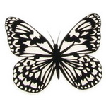Scrapbook Decoration Set, Soft Plastic, Velvet Covered, Butterfly 3 pieces