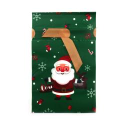 PE Christmas Bags 12x18 cm – Green with Satin Ribbon, Santa Claus and Reindeer Design