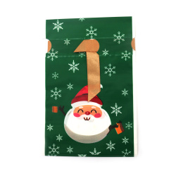 Festive Green PE Christmas Bags 12x18 cm with Satin Ribbon & Santa Claus Design