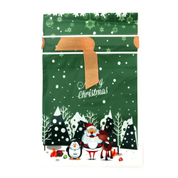 Festive Green PE Christmas Bags 12x18 cm with Satin Ribbon & Santa, Reindeer & Penguin Design