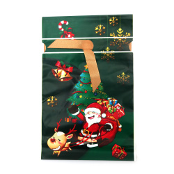 Green PE Christmas Bags 15x23 cm with Satin Ribbon & Santa on Sleigh Design