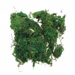 Decoratiune Moss -50 grame