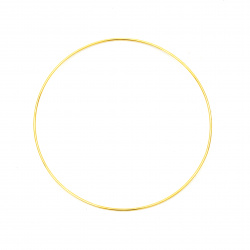 Metal Ring for DIY and Craft Projects / 200x2.8 mm / Gold