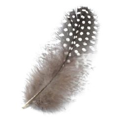 Feather for decoration 50~80 mm gray -10 pieces