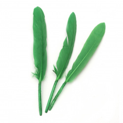 Feathers for Decoration / 100±150x15±20 mm / Green - 10 pieces