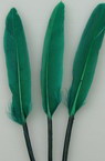 Decorative Feathers, Dark Green, 100~150x15~20 mm, 10 pieces