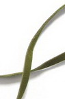 Banda din piele intoarsa 5 mm verde3 -10 bucati x 1 metru