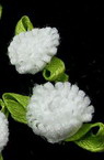 Бели рози с листо за декорация 10 мм -25 броя