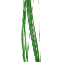 Sârmă de florist cu înveliș de hârtie, culoare verde deschis, 0,5 mm ~80 cm - 30 bucăți