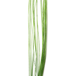 Sârmă pentru flori, culoare verde deschis, 0,5 mm ~80 cm - 30 bucăți