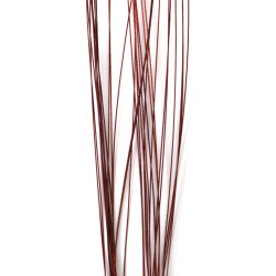 Sârmă pentru flori maro 0,5 mm ~80 cm - 30 bucăți
