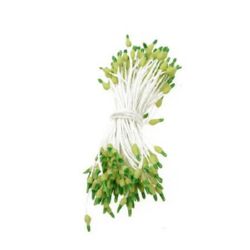 Stamine bilaterale 2x7x60 mm bicolor galben și verde ± 144 bucăți