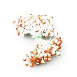 Stamens pearl double-sided for Decoration 5x8x57 mm two-tone white and orange ~95 pieces
