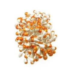 Stamens pearl double-sided for Decoration 7x10x57 mm two-color white and orange ~85 pieces