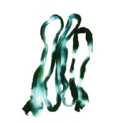 Not Available Online. You can also buy at EM ART stores and at 0884400631 Polyester Sleeve for Nylon Flowers / Pantyhose / Two-tone Blue-Green Overflow Package 5pcs