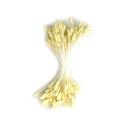 Non disponibile online. Puoi anche acquistare nei negozi EM ART e al +359 884 000 893 Pistilli per fiori a doppia estremità, giallo pastello chiaro, 3×5×60 mm, circa 130 pz, per hobbistica e fai da te