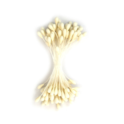 Non disponibile online. Puoi anche acquistare nei negozi EM ART e al +359 884 000 893 Pistilli Doppi Opachi per Fiori, Colore Champagne, 3×8×60 mm, ca. 144 pz