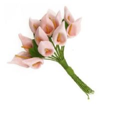 Buchet calie de culoare potasiu roz deschis 16x30 mm -12 bucăți