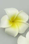 Frangipani plumeria, rubberized flower 55 mm white yellow - 5 pieces