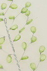 Διακοσμητικό κλαδί με φύλλα κρυσταλλάκια 12 mm πράσινο -270 mm