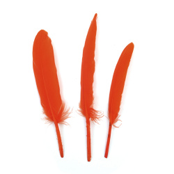 Decorative Feathers for Craft and Art / Orange / 100 ±150 x15 ± 20 mm - 10 pieces