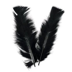 Feather for decoration 120~170x35~40 mm black - 10 pieces