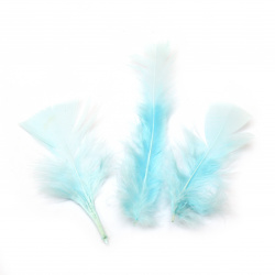 Delicate feather for various decoration 120~170x35~40 mm blue light - 10 pieces