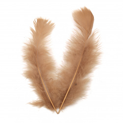 Fluffy Feathers for DIY Dream-catcher, Jewelry, Costumes /  Caramel / 120 ± 170 x 35 ± 40 mm - 10 pieces