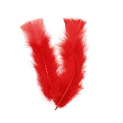 Feather for decoration 120~170x35~40 mm red - 10 pieces
