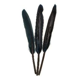 Feathers for Crafts - Dream Catchers, Jewelry, Party Decorations / 100 ± 150 x 15 ± 20 mm / Indigo - 10 pieces