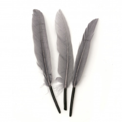 Feather  for decoration 100~150x15~20 mm gray - 10 pieces