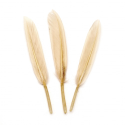 Feather  for decoration 100~ 150x15~20 mm cream - 10 pieces