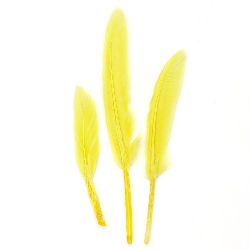 Colorful Feathers for Craft Designs / 100 ± 150 x 15 ± 20 mm / Yellow - 10 pieces