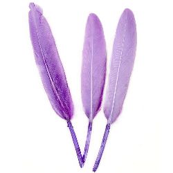 Feathers for Decoration, Violet, 150~200 mm - Pack of 10