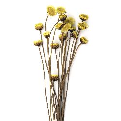 Букет сухи цветя Glixia за декорация цвят жълто ~53 броя