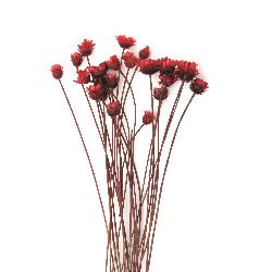 Букет сухи цветя Glixia за декорация цвят червен ~53 броя
