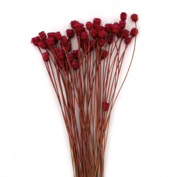 Букет сухи цветя Glixia за декорация цвят циклама ~53 броя