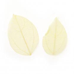 Skeletal leaves 60x20 ~ 90x45 mm for decoration color yellow -20 pieces