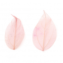 Skeletal leaves 60x20 ~ 90x45 mm for decoration color pink -20 pieces